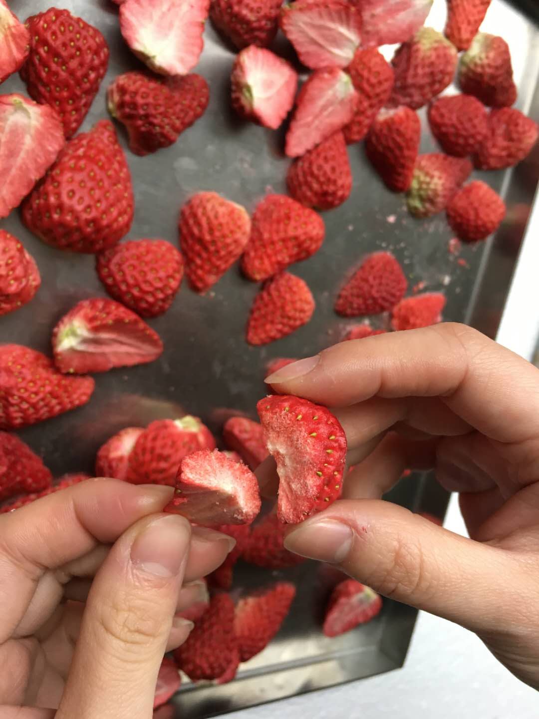 草莓24小时游乐城
